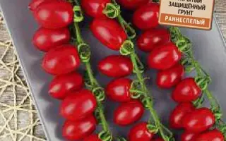 МАЛИНОВЫЙ ФОНТАН