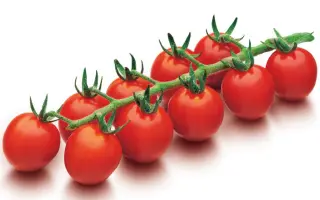 ДРК 564