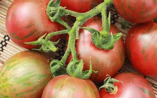 ФИОЛЕТОВЫЙ ДЖАСПЕР