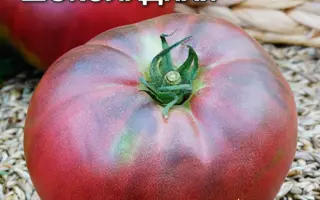 АМАЗОНКА ШОКОЛАДНАЯ