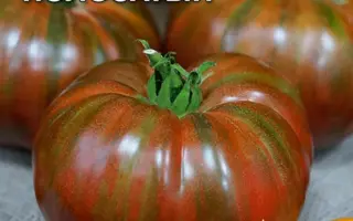 САМБОЛ ПОЛОСАТЫЙ