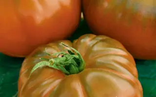 МИКАДО КОРИЧНЕВЫЙ