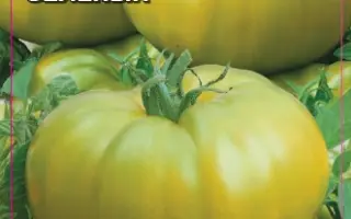 САХАР ЗЕЛЕНЫЙ