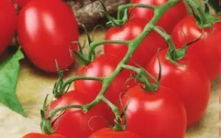 СПРУТ СЛИВКА