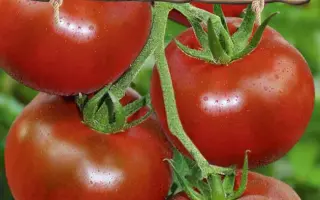 ШОКОЛАДНЫЙ ПРЯНИК