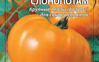 СЛОНОПОТАМ