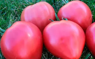 БАБУШКИН ГОСТИНЕЦ