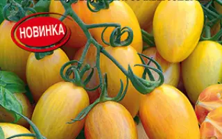 ЗОЛОТАЯ РОССЫПЬ