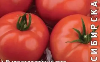 КРАСНЫЙ БАНКИР