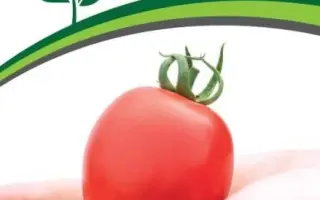 ПОКРАСНЕВШАЯ НЕВЕСТА