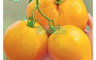 ЖЕЛТАЯ ИМПЕРИЯ