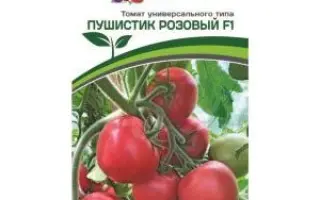 ПУШИСТИК РОЗОВЫЙ