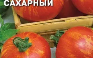 САМОЦВЕТ САХАРНЫЙ
