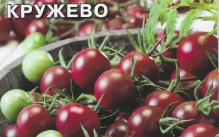 ЧЕРНОЕ КРУЖЕВО