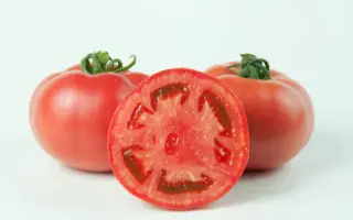 ШИБИК