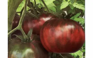 КОФЕ С МОЛОКОМ