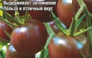 АФРОЧЕРРИ