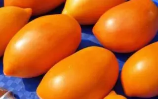 ЗОЛОТОЙ КЕНИГСБЕРГ