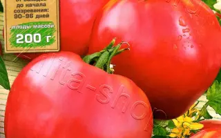 НЕРАЗЛУЧНЫЕ СЕРДЦА