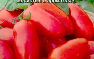 ПЕРЦОВКА