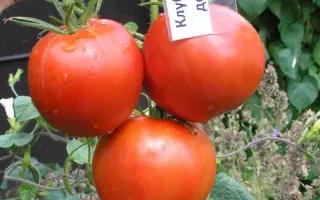 КЛУБНИЧНЫЙ ДЕСЕРТ