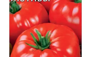 ВОЛОГОДСКИЕ МОТИВЫ