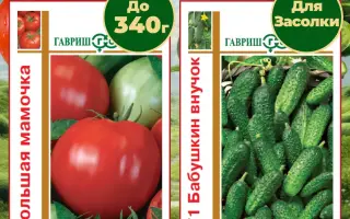 БАБУШКИН ВНУЧОК