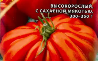 ИНЖИРНЫЙ РУБИНОВЫЙ