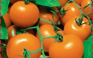 КАРАМЕЛЬ ОРАНЖЕВАЯ