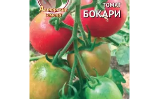 БОКАРИ