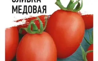 СЛИВКА МЕДОВАЯ