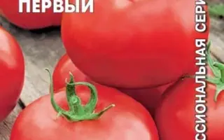 АЛЕКСАНДР ПЕРВЫЙ