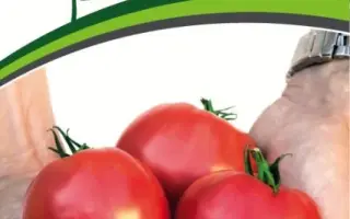 МАЛИНОВАЯ ИМПЕРИЯ