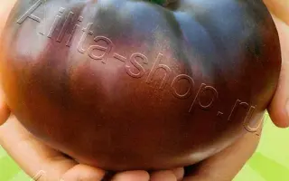 ЧЕРНЫЙ АЙСБЕРГ