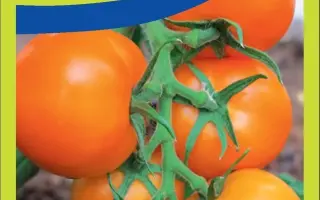 НАСЛАЖДЕНИЕ