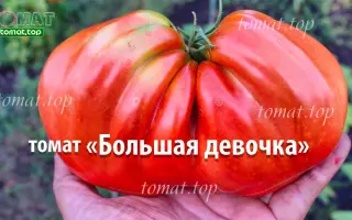 БОЛЬШАЯ ДЕВОЧКА