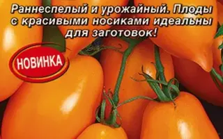 НОСИКИ-КУРНОСИКИ