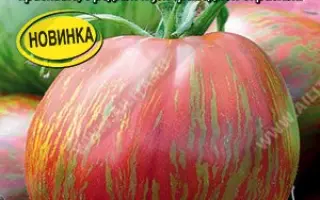 БОГАТЫРЬ ИЛЮША