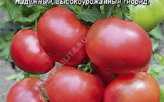 НЕНАГЛЯДНЫЕ