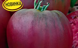 БЫЧЬЕ СЕРДЦЕ ЧЕРНОЕ