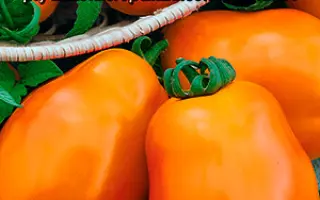 ЛИМОННЫЕ ДОЛЬКИ