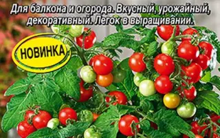 СЛАДКАЯ ЯГОДКА