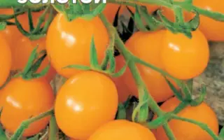 СПРУТ ЗОЛОТОЙ