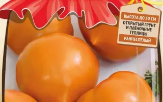 ЯНТАРНАЯ РОССЫПЬ