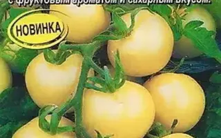 БЕЛАЯ ВИШНЯ