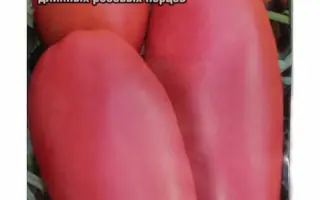 ПЕРЦЕВИДНЫЙ РОЗОВЫЙ