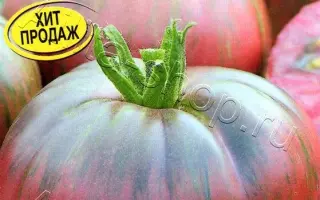 ШОКОЛАДНЫЙ ЗАЯЦ