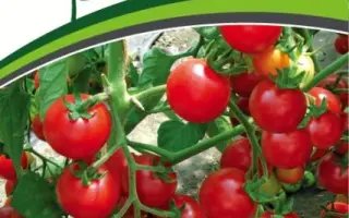 ЗЕМЛЕДЕЛЕЦ