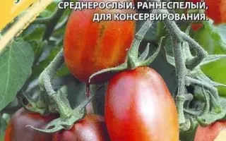 ЗОЛУШКА ШОКОЛАДНАЯ