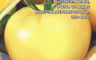 БЫЧЬЕ СЕРДЦЕ КРЕМОВОЕ